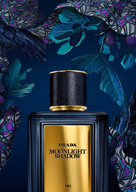 parfum prada moonlight shadow|Mirages Moonlight Shadow Prada for women and men .